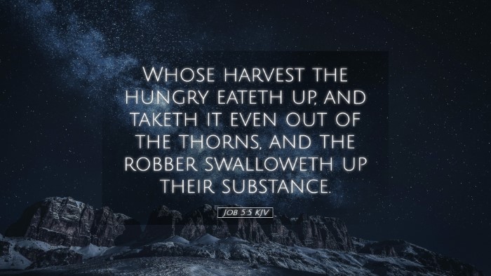 Picture 05 - Job 5:5 KJV Desktop Wallpaper - Whose harvest the hungry eateth up, and taketh it - Desktop Bible Verse Wallpaper