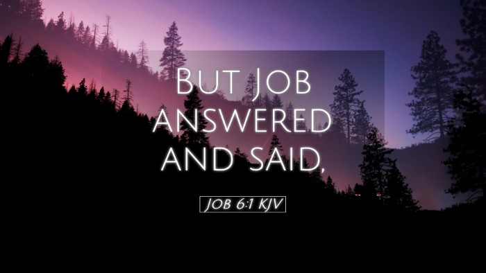 Picture 05 - Job 6:1 KJV Desktop Wallpaper - But Job answered and - Desktop Bible Verse Wallpaper