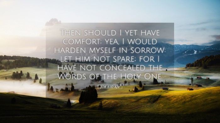 Picture 05 - Job 6:10 KJV Desktop Wallpaper - Then should I yet have comfort; yea, I would - Desktop Bible Verse Wallpaper