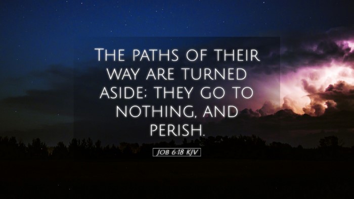 Picture 05 - Job 6:18 KJV Desktop Wallpaper - The paths of their way are turned aside; they go - Desktop Bible Verse Wallpaper