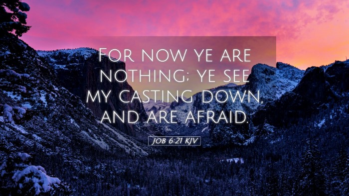 Picture 05 - Job 6:21 KJV Desktop Wallpaper - For now ye are nothing; ye see my casting down, - Desktop Bible Verse Wallpaper