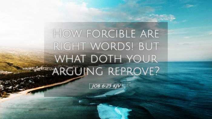 Picture 05 - Job 6:25 KJV Desktop Wallpaper - How forcible are right words! but what doth your - Desktop Bible Verse Wallpaper