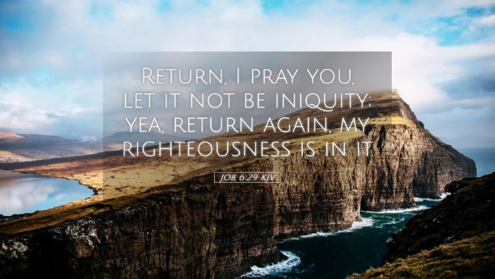 Picture 05 - Job 6:29 KJV Desktop Wallpaper - Return, I pray you, let it not be iniquity; yea, - Desktop Bible Verse Wallpaper