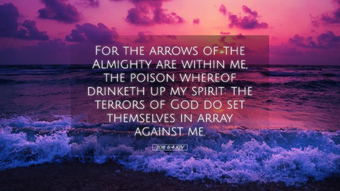 Picture 05 - Job 6:4 KJV Desktop Wallpaper - For the arrows of the Almighty are within me, the - Desktop Bible Verse Wallpaper