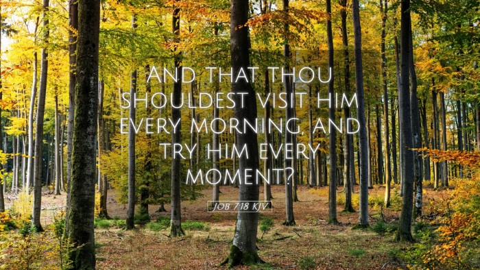 Picture 05 - Job 7:18 KJV Desktop Wallpaper - And that thou shouldest visit him every morning, - Desktop Bible Verse Wallpaper
