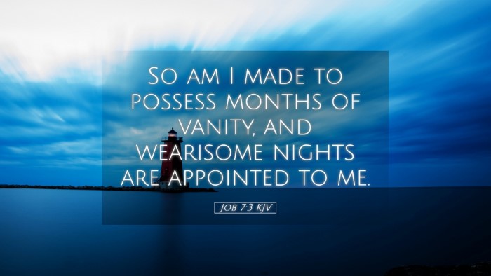 Picture 05 - Job 7:3 KJV Desktop Wallpaper - So am I made to possess months of vanity, and - Desktop Bible Verse Wallpaper
