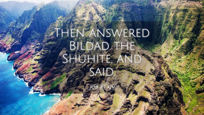 Picture 05 - Job 8:1 KJV Desktop Wallpaper - Then answered Bildad the Shuhite, and - Desktop Bible Verse Wallpaper