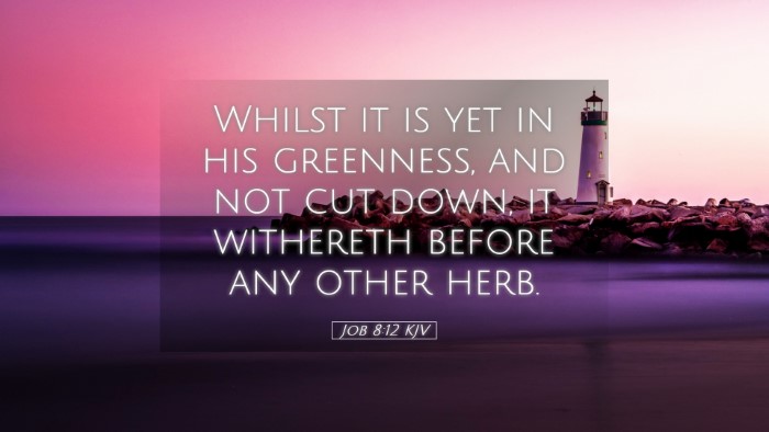 Picture 05 - Job 8:12 KJV Desktop Wallpaper - Whilst it is yet in his greenness, and not cut - Desktop Bible Verse Wallpaper