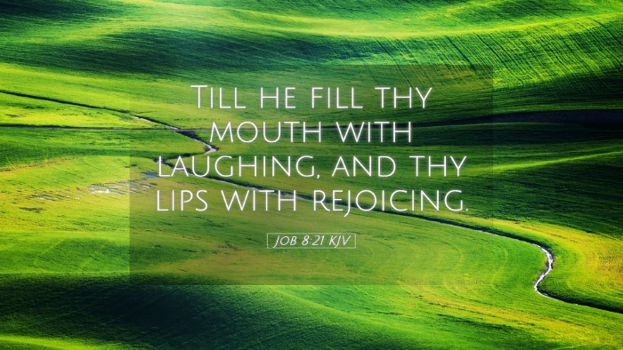 Picture 05 - Job 8:21 KJV Desktop Wallpaper - Till he fill thy mouth with laughing, and thy - Desktop Bible Verse Wallpaper