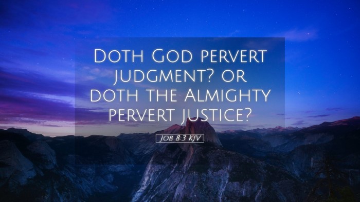Picture 05 - Job 8:3 KJV Desktop Wallpaper - Doth God pervert judgment? or doth the Almighty - Desktop Bible Verse Wallpaper