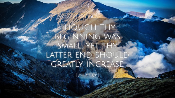Picture 05 - Job 8:7 KJV Desktop Wallpaper - Though thy beginning was small, yet thy latter - Desktop Bible Verse Wallpaper