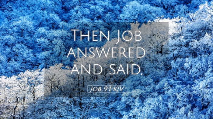 Picture 05 - Job 9:1 KJV Desktop Wallpaper - Then Job answered and - Desktop Bible Verse Wallpaper