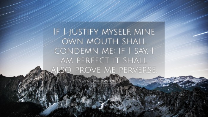 Picture 05 - Job 9:20 KJV Desktop Wallpaper - If I justify myself, mine own mouth shall condemn - Desktop Bible Verse Wallpaper