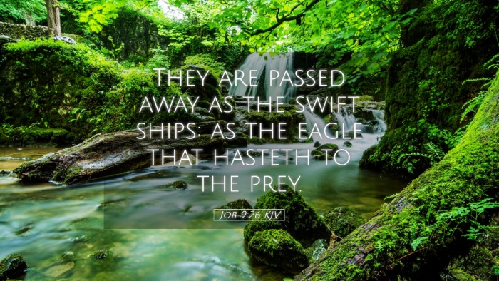 Picture 05 - Job 9:26 KJV Desktop Wallpaper - They are passed away as the swift ships: as the - Desktop Bible Verse Wallpaper