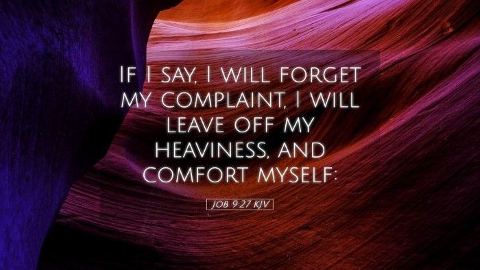 Picture 05 - Job 9:27 KJV Desktop Wallpaper - If I say, I will forget my complaint, I will - Desktop Bible Verse Wallpaper