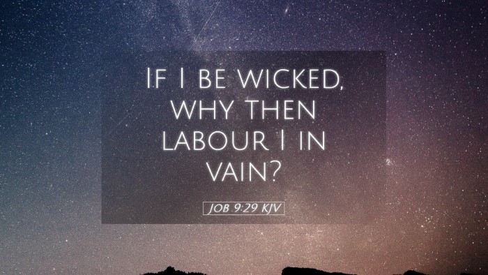 Picture 05 - Job 9:29 KJV Desktop Wallpaper - If I be wicked, why then labour I in - Desktop Bible Verse Wallpaper