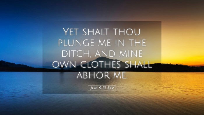 Picture 05 - Job 9:31 KJV Desktop Wallpaper - Yet shalt thou plunge me in the ditch, and mine - Desktop Bible Verse Wallpaper
