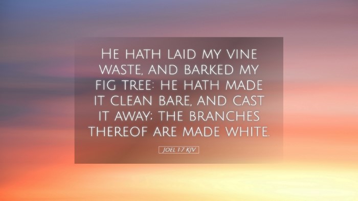 Picture 05 - Joel 1:7 KJV Desktop Wallpaper - He hath laid my vine waste, and barked my fig - Desktop Bible Verse Wallpaper