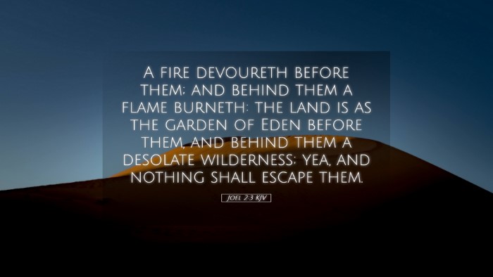 Picture 05 - Joel 2:3 KJV Desktop Wallpaper - A fire devoureth before them; and behind them a - Desktop Bible Verse Wallpaper
