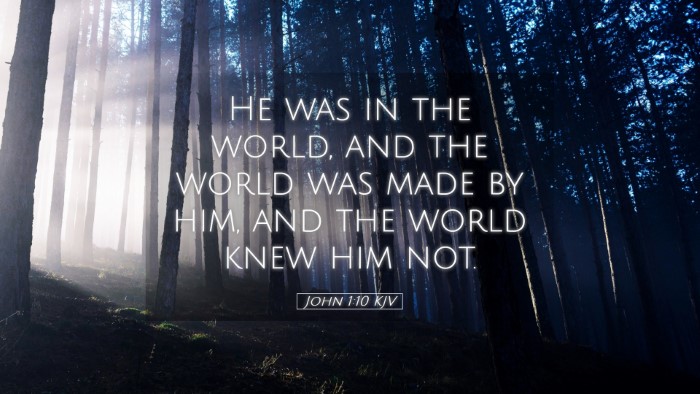 Picture 05 - John 1:10 KJV Desktop Wallpaper - He was in the world, and the world was made by - Desktop Bible Verse Wallpaper