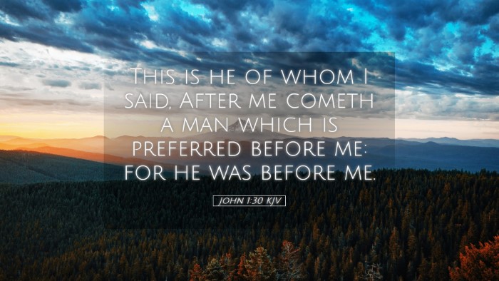 Picture 05 - John 1:30 KJV Desktop Wallpaper - This is he of whom I said, After me cometh a man - Desktop Bible Verse Wallpaper