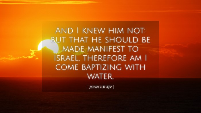 Picture 05 - John 1:31 KJV Desktop Wallpaper - And I knew him not: but that he should be made - Desktop Bible Verse Wallpaper