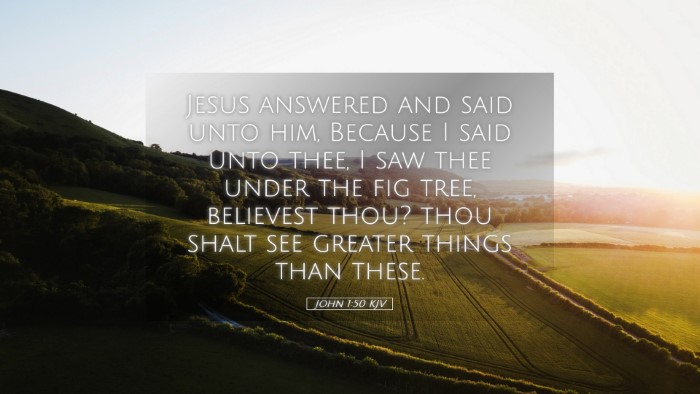Picture 05 - John 1:50 KJV Desktop Wallpaper - Jesus answered and said unto him, Because I said - Desktop Bible Verse Wallpaper