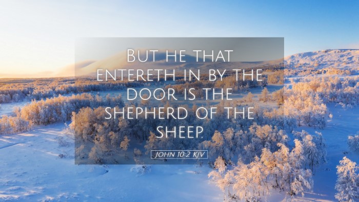 Picture 05 - John 10:2 KJV Desktop Wallpaper - But he that entereth in by the door is the - Desktop Bible Verse Wallpaper