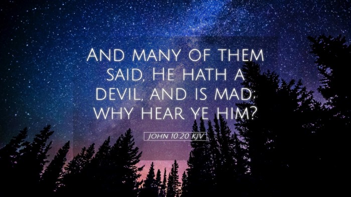 Picture 05 - John 10:20 KJV Desktop Wallpaper - And many of them said, He hath a devil, and is - Desktop Bible Verse Wallpaper