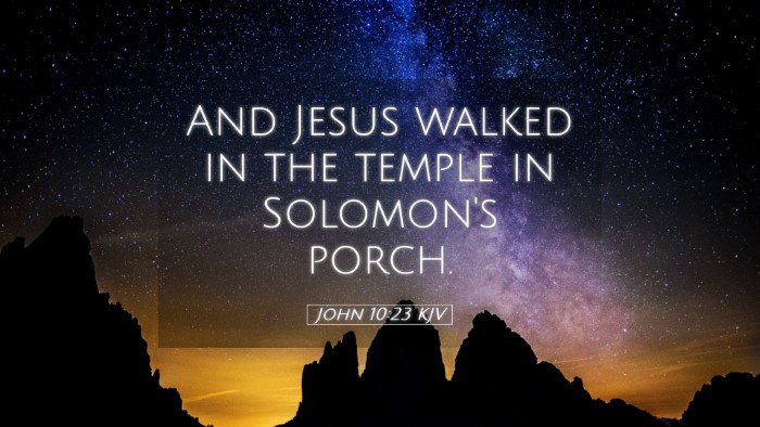 Picture 05 - John 10:23 KJV Desktop Wallpaper - And Jesus walked in the temple in Solomon's - Desktop Bible Verse Wallpaper