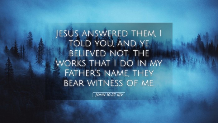 Picture 05 - John 10:25 KJV Desktop Wallpaper - Jesus answered them, I told you, and ye believed - Desktop Bible Verse Wallpaper