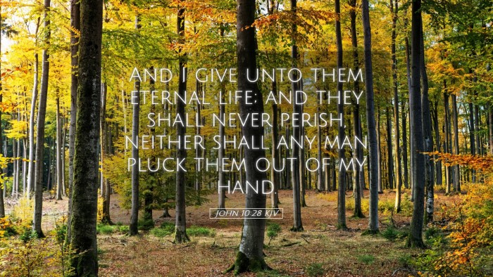Picture 05 - John 10:28 KJV Desktop Wallpaper - And I give unto them eternal life; and they shall - Desktop Bible Verse Wallpaper