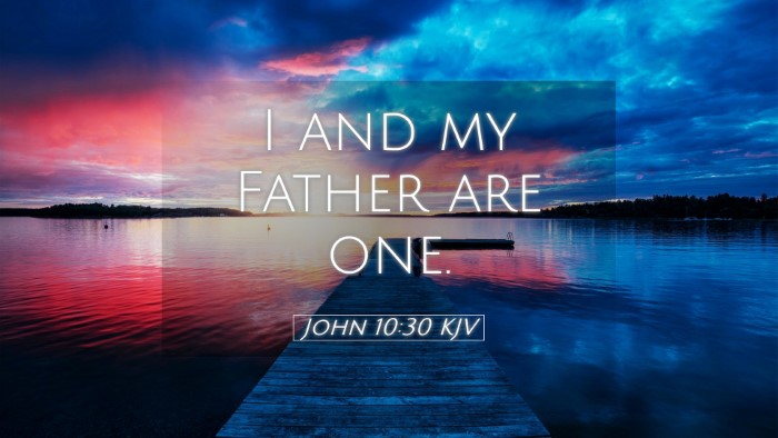 Picture 05 - John 10:30 KJV Desktop Wallpaper - I and my Father are - Desktop Bible Verse Wallpaper