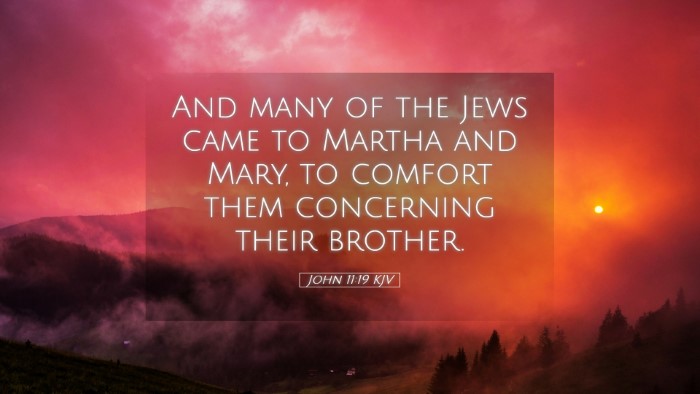 Picture 05 - John 11:19 KJV Desktop Wallpaper - And many of the Jews came to Martha and Mary, to - Desktop Bible Verse Wallpaper