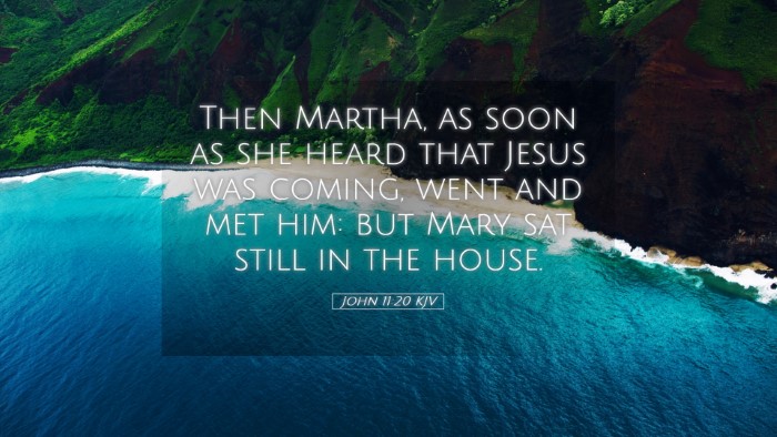 Picture 05 - John 11:20 KJV Desktop Wallpaper - Then Martha, as soon as she heard that Jesus was - Desktop Bible Verse Wallpaper
