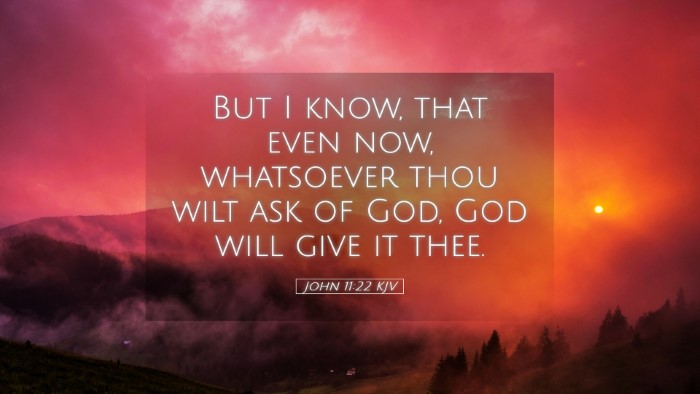 Picture 05 - John 11:22 KJV Desktop Wallpaper - But I know, that even now, whatsoever thou wilt - Desktop Bible Verse Wallpaper