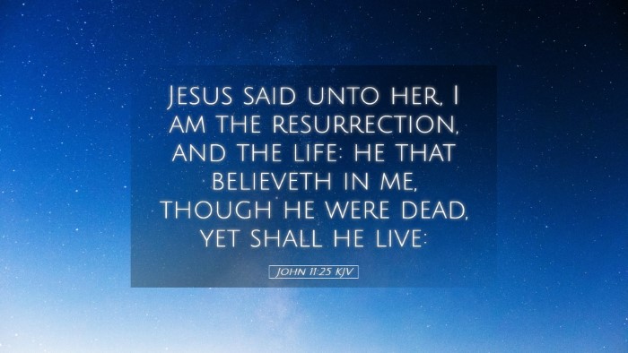 Picture 05 - John 11:25 KJV Desktop Wallpaper - Jesus said unto her, I am the resurrection, and - Desktop Bible Verse Wallpaper