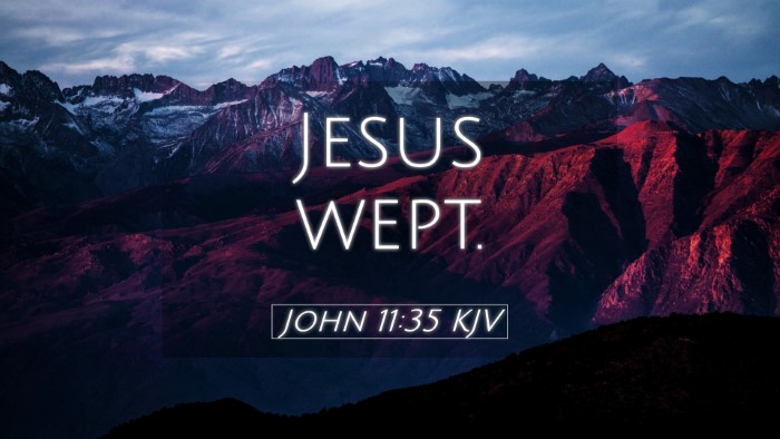 Picture 05 - John 11:35 KJV Desktop Wallpaper - Jesus - Desktop Bible Verse Wallpaper