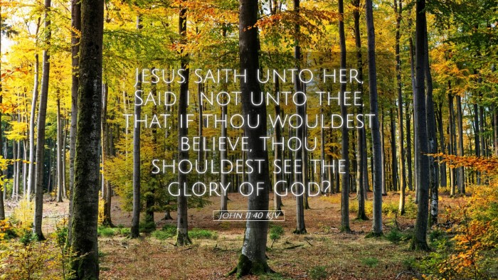 Picture 05 - John 11:40 KJV Desktop Wallpaper - Jesus saith unto her, Said I not unto thee, that, - Desktop Bible Verse Wallpaper