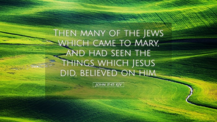Picture 05 - John 11:45 KJV Desktop Wallpaper - Then many of the Jews which came to Mary, and had - Desktop Bible Verse Wallpaper