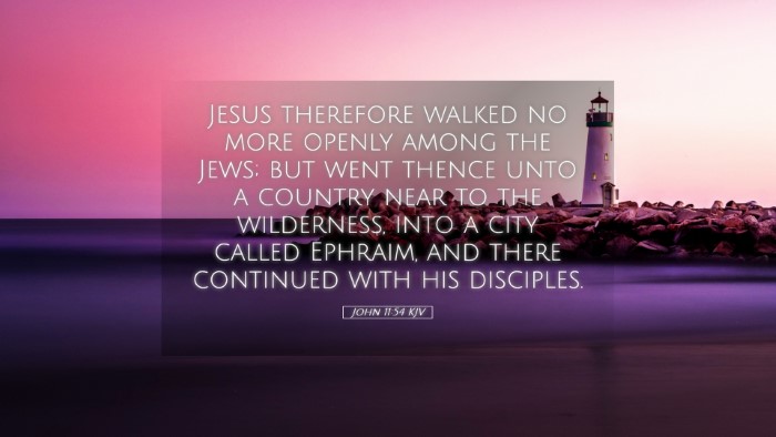 Picture 05 - John 11:54 KJV Desktop Wallpaper - Jesus therefore walked no more openly among the - Desktop Bible Verse Wallpaper