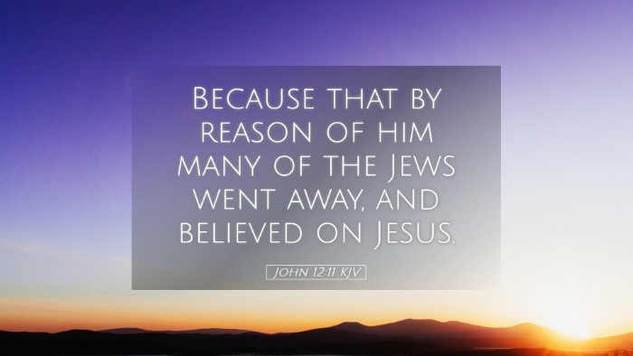Picture 05 - John 12:11 KJV Desktop Wallpaper - Because that by reason of him many of the Jews - Desktop Bible Verse Wallpaper