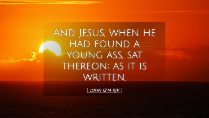 Picture 05 - John 12:14 KJV Desktop Wallpaper - And Jesus, when he had found a young ass, sat - Desktop Bible Verse Wallpaper