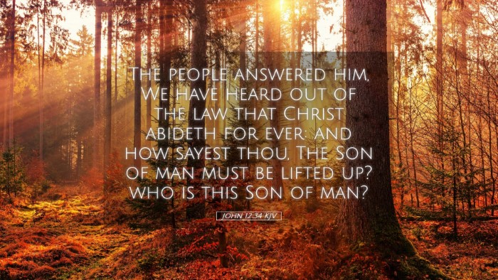 Picture 05 - John 12:34 KJV Desktop Wallpaper - The people answered him, We have heard out of the - Desktop Bible Verse Wallpaper