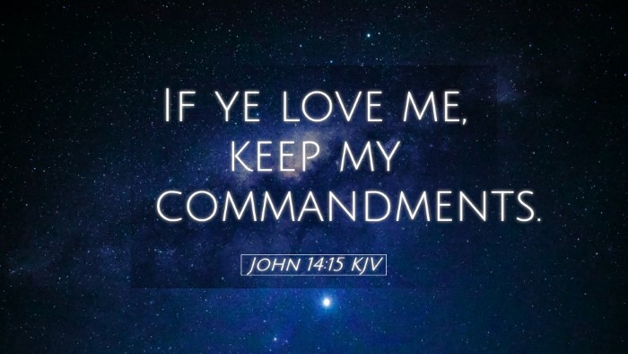 Picture 05 - John 14:15 KJV Desktop Wallpaper - If ye love me, keep my - Desktop Bible Verse Wallpaper