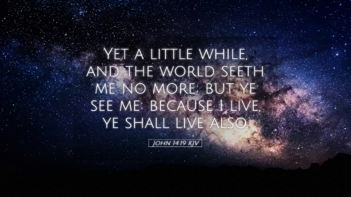 Picture 05 - John 14:19 KJV Desktop Wallpaper - Yet a little while, and the world seeth me no - Desktop Bible Verse Wallpaper