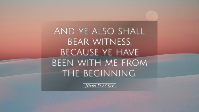 Picture 05 - John 15:27 KJV Desktop Wallpaper - And ye also shall bear witness, because ye have - Desktop Bible Verse Wallpaper