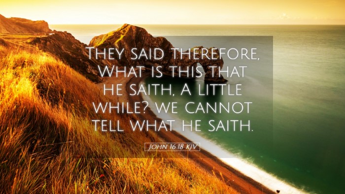 Picture 05 - John 16:18 KJV Desktop Wallpaper - They said therefore, What is this that he saith, - Desktop Bible Verse Wallpaper