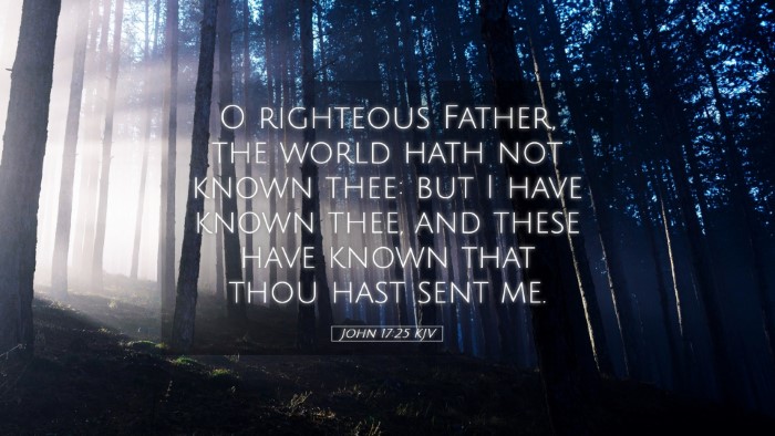 Picture 05 - John 17:25 KJV Desktop Wallpaper - O righteous Father, the world hath not known - Desktop Bible Verse Wallpaper