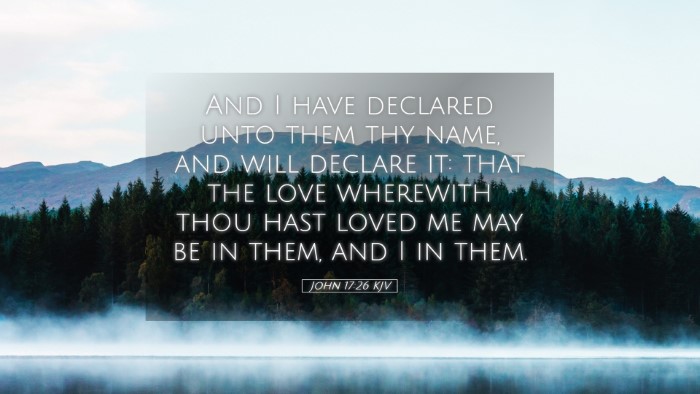 Picture 05 - John 17:26 KJV Desktop Wallpaper - And I have declared unto them thy name, and will - Desktop Bible Verse Wallpaper